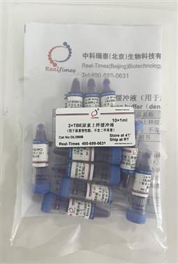 2×TBE尿素上樣緩沖液（用于尿素變性膠，不含二甲苯菁）