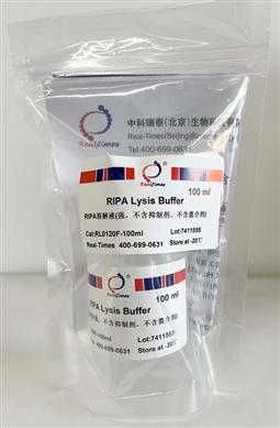 RIPA裂解液(強(qiáng)，不含抑制劑，不含螯合劑)