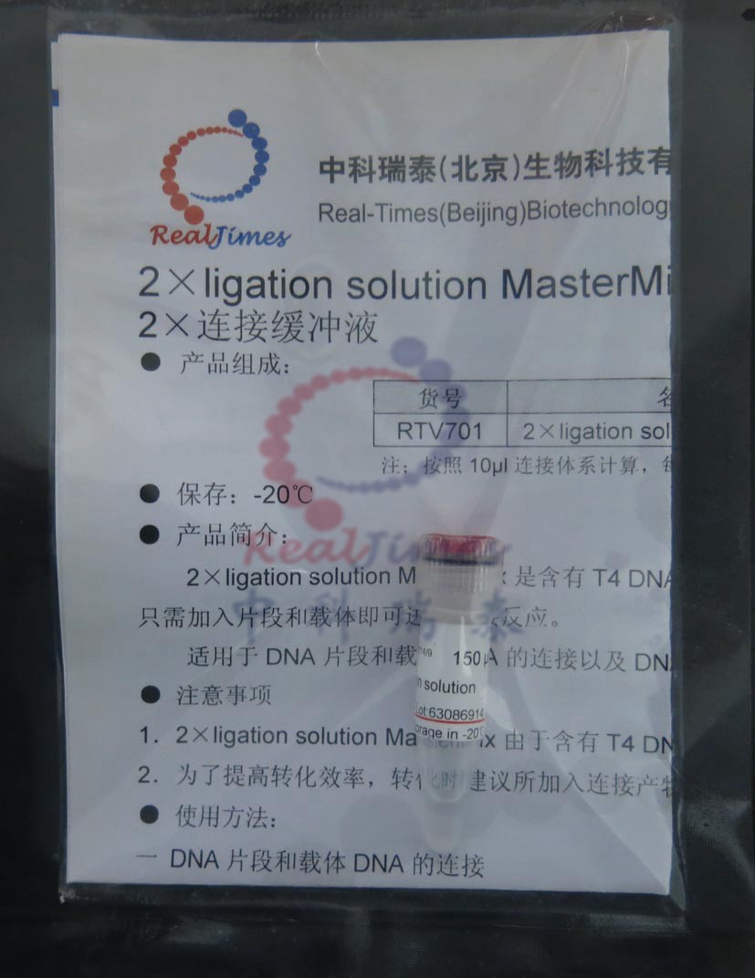2×DNA連接緩沖液